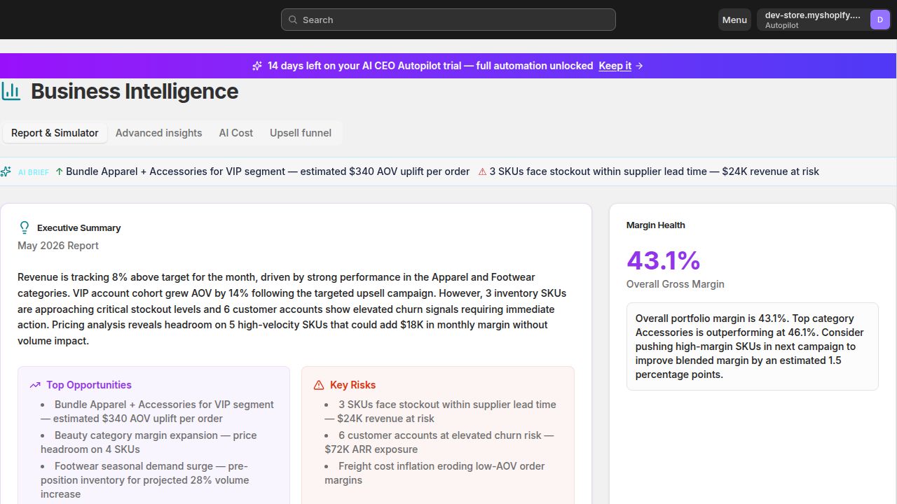 AI CEO operating system — business intelligence with weekly AI report, margin analysis by category, and cashflow forecast unifying the whole store